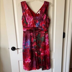 Banana Republic Red and Pink Floral Midi Dress